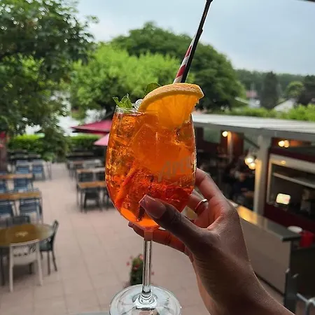 Otel De D'yvonand Yvonand